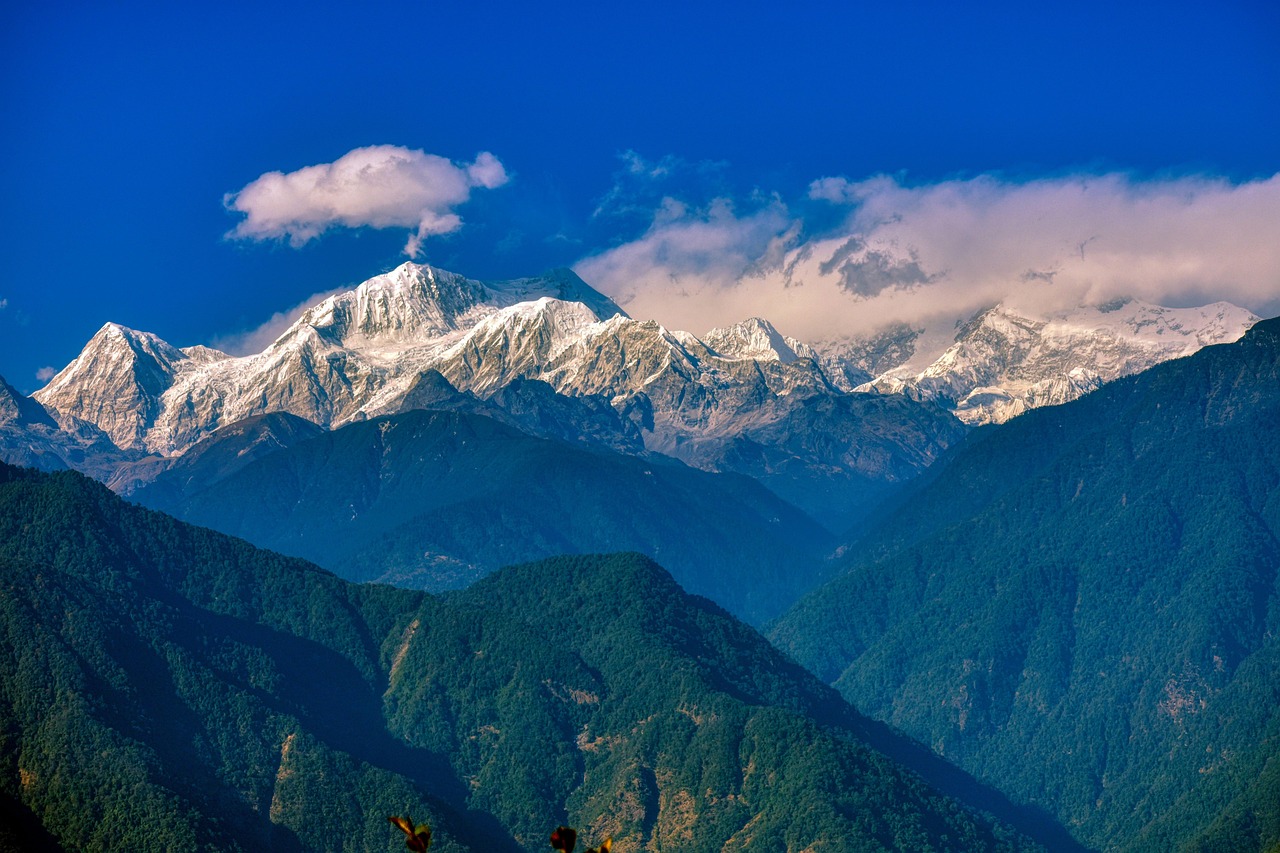 Is Where to Sikkim Casino License Legal in India? Complete 2026 Guide
